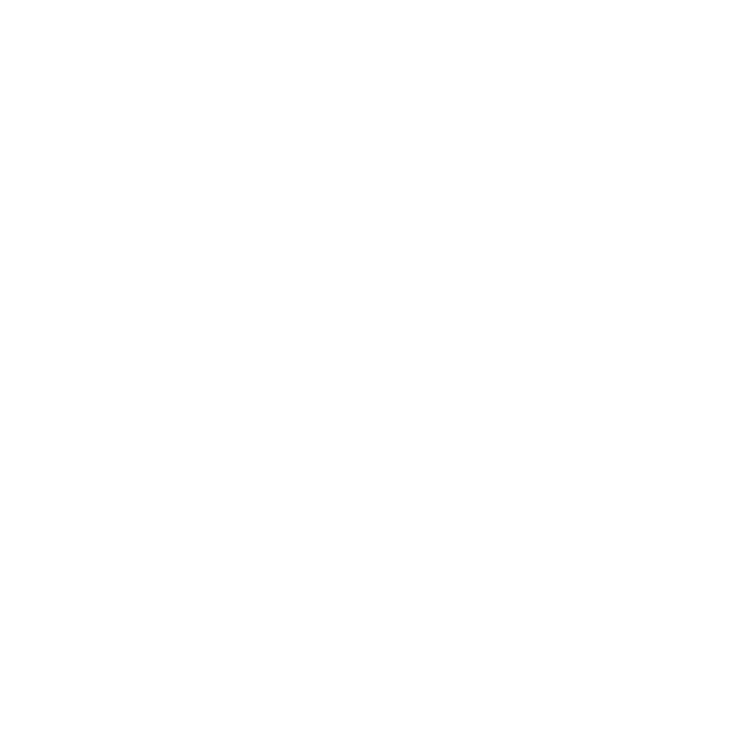 logo Distillerie du 29 octobre
